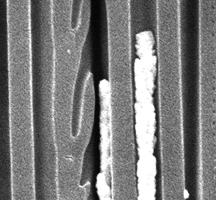 Nanoscale electrodes of porous platinum