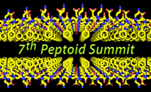 Peptoid summit image