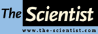 The Scientist banner
